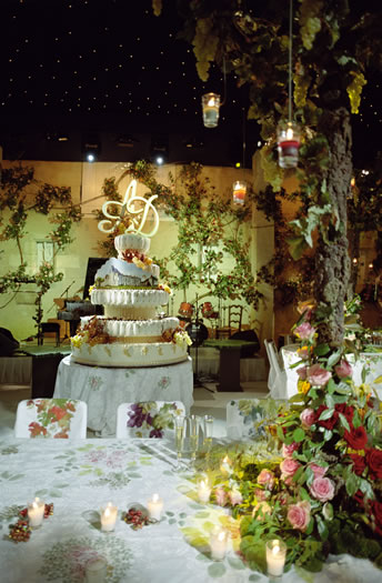 destination & weddings - france